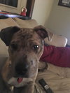 Lilly