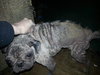 Lily Jane