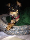 Drusilla