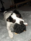 Meko