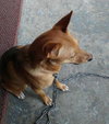 Mickey