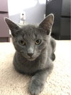 Mr. Blu