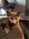 Mr. Blu