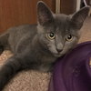 Mr. Blu