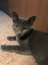 Mr. Blu