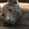 Mr. Blu