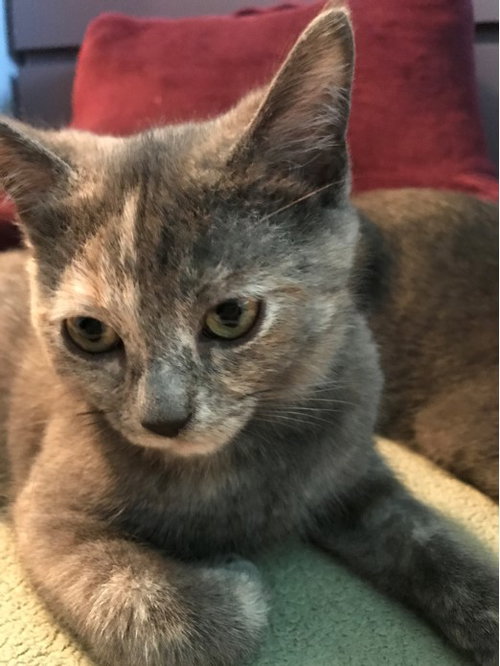 Luna