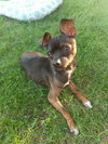 Lucas