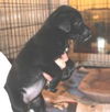 Barty