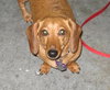Slinky 