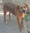 Shiloh