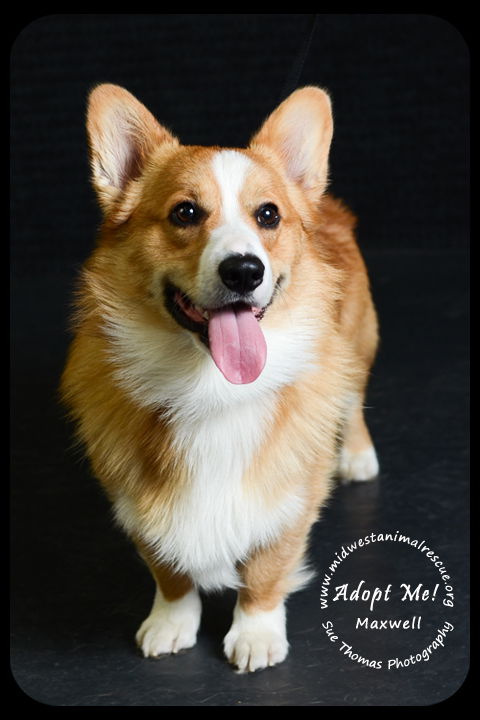 Max