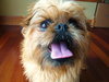 Scruffy
