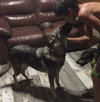 Meeka
