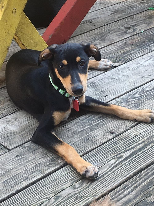 Benny
