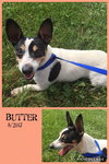 Butter