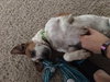 Tucker