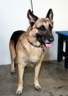 Barron