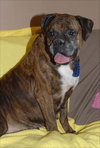 Athena