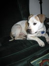 Samson