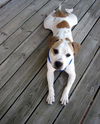 Samson