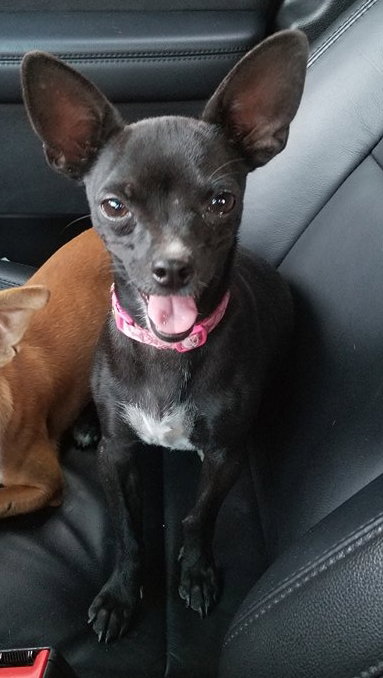 Lucy