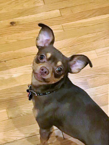 Copper