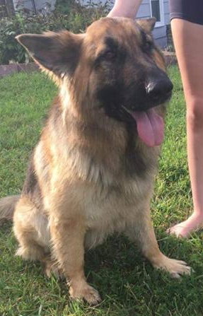 Koda