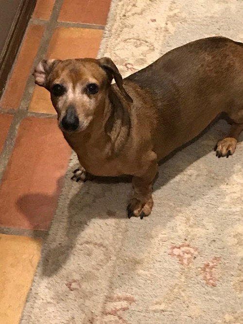 Sergio