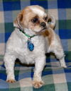 Keegan
