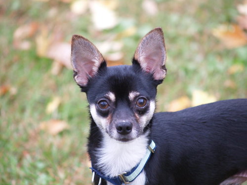 Byron