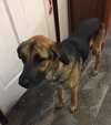 Axel