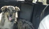 Maybelle