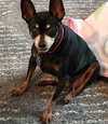 Minnie