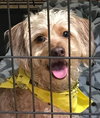 Lonnie