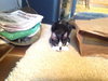 Lucy