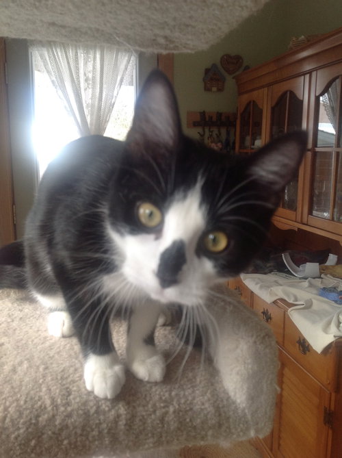 Lucy