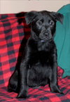 Matilda