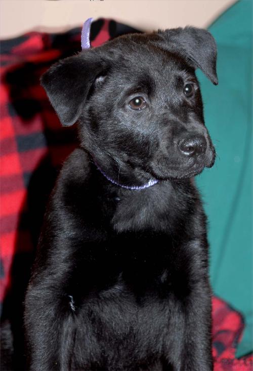 Matilda
