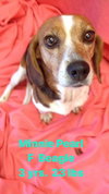 Minnie Pearl