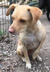 Amy