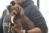 Mitzy-