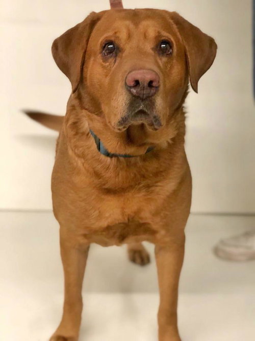 Duke
