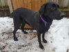 Maybelle