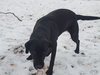 Maybelle