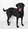 Maybelle