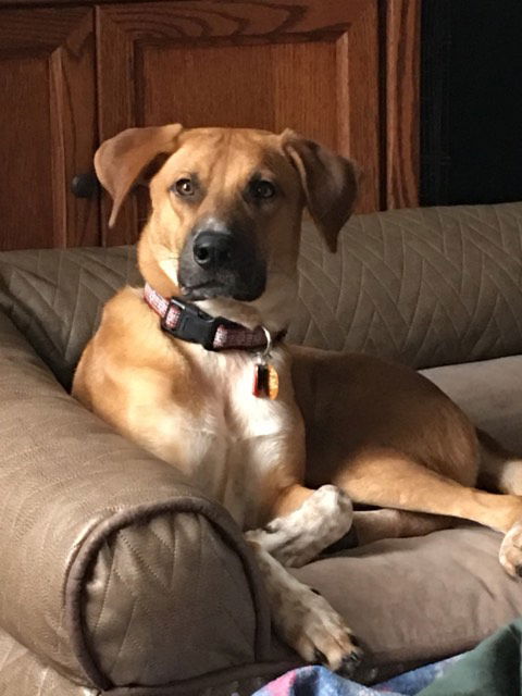 Zeke