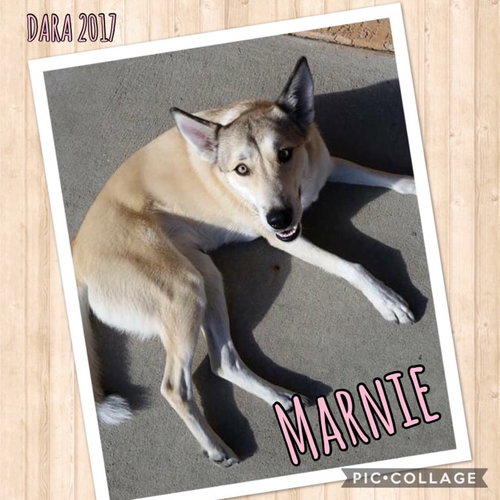Marnie