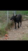 Gretta