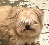 Lucy